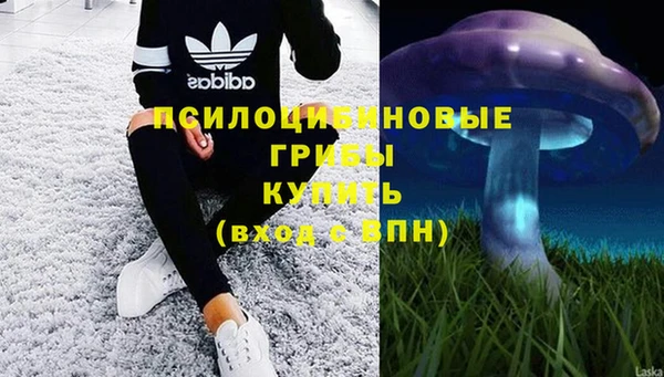 mdpv Надым