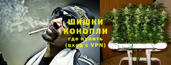 МДПВ Мегион
