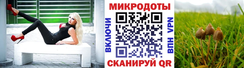 продажа наркотиков Николаевск-на-Амуре Галлюциногенные грибы MAGIC MUSHROOMS