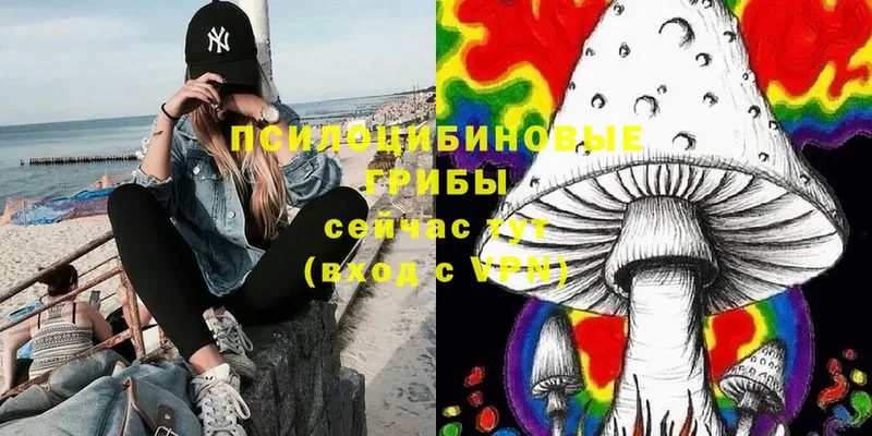 omg рабочий сайт  Николаевск-на-Амуре  Псилоцибиновые грибы Magic Shrooms 